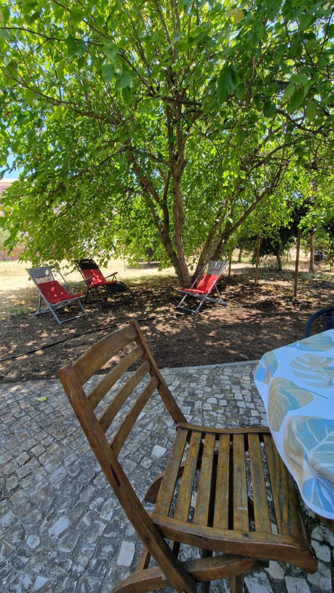 Chalet Villa Mosquito Silves Exterior foto